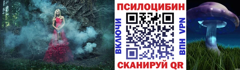 Галлюциногенные грибы мухоморы Алзамай